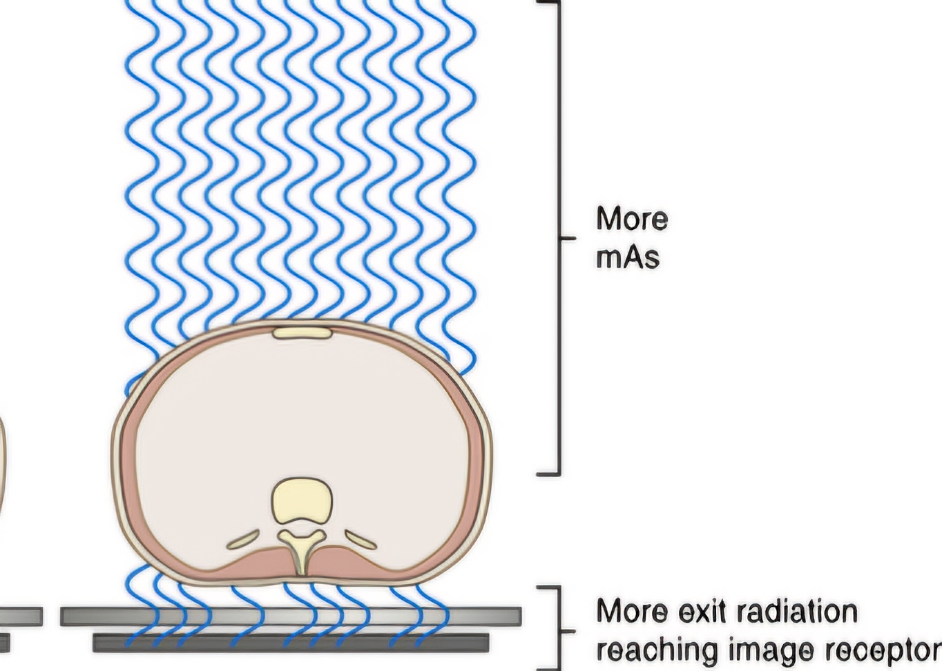 <p>this image shows use that</p>