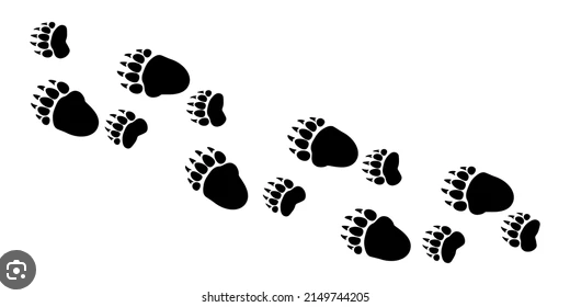 <p>Waddlers. Left-left-right-right. Often an over-step walk.</p>