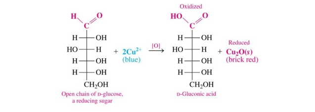 <ul><li><p>requires Cu²</p></li><li><p>Cu² is reduced to Cu+</p></li><li><p>-ose to -onic acid</p></li><li><p>add O to H</p></li><li><p>forms a carboxylic acid</p></li></ul>