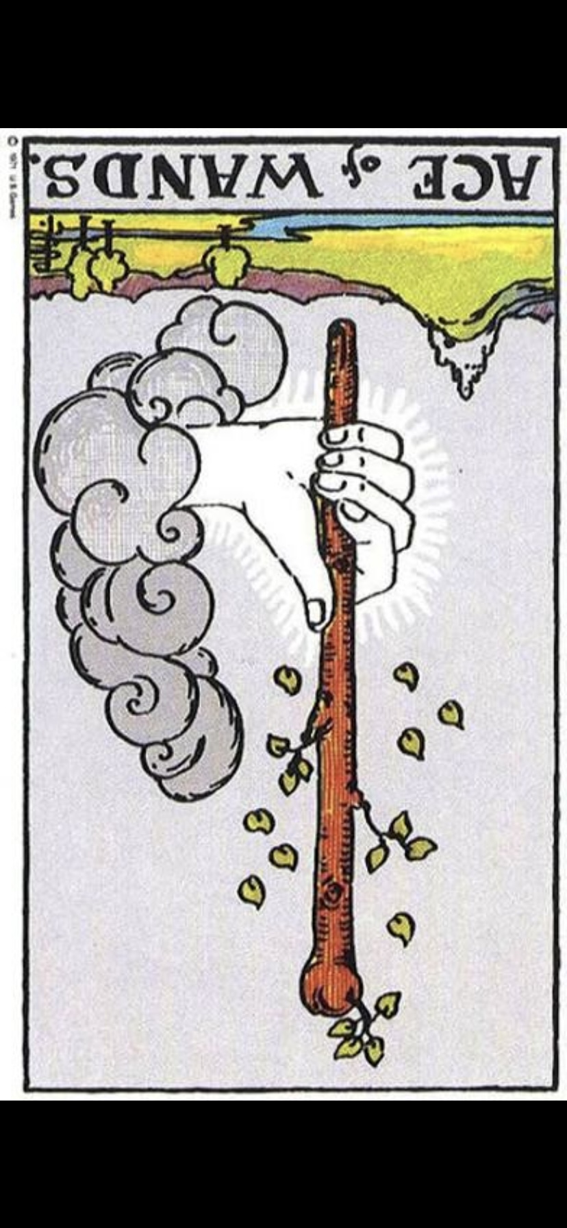 <p>Ace of Wands </p>