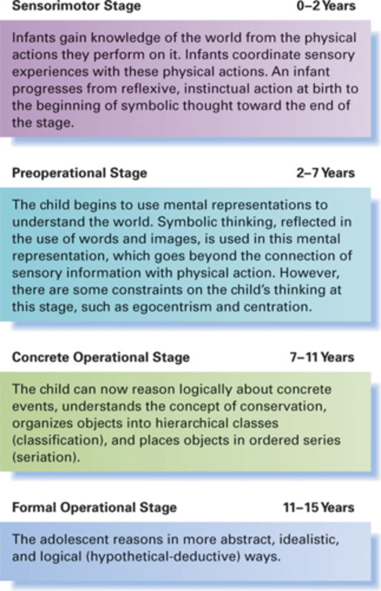 <p>- sensorimotor, preoperational, concrete operational, formal operational</p><p>- These stages cannot be sped through adult help and are set.</p>