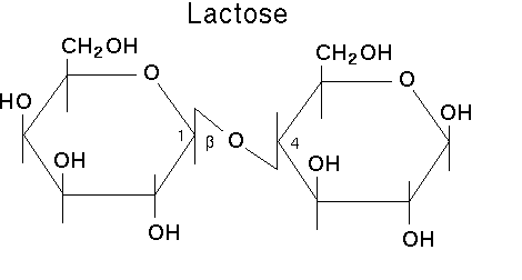<p>B 1-4 glycosidic linkage (between Carbon 1 of the glucose and carbon 4 of the galactose)</p>