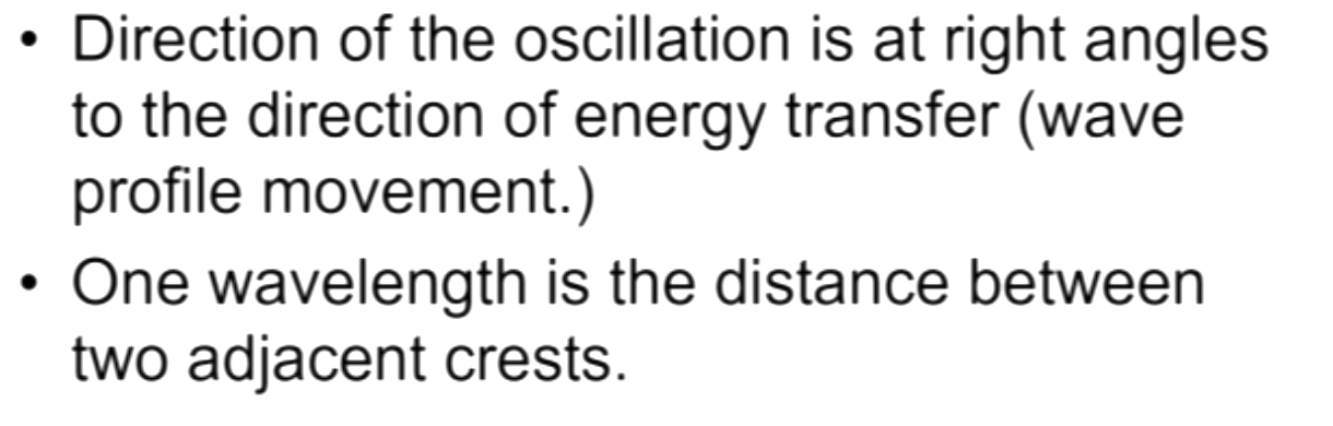 <p>What wave type is this</p>