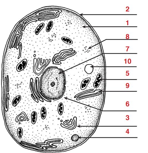 <p>What is #5</p>
