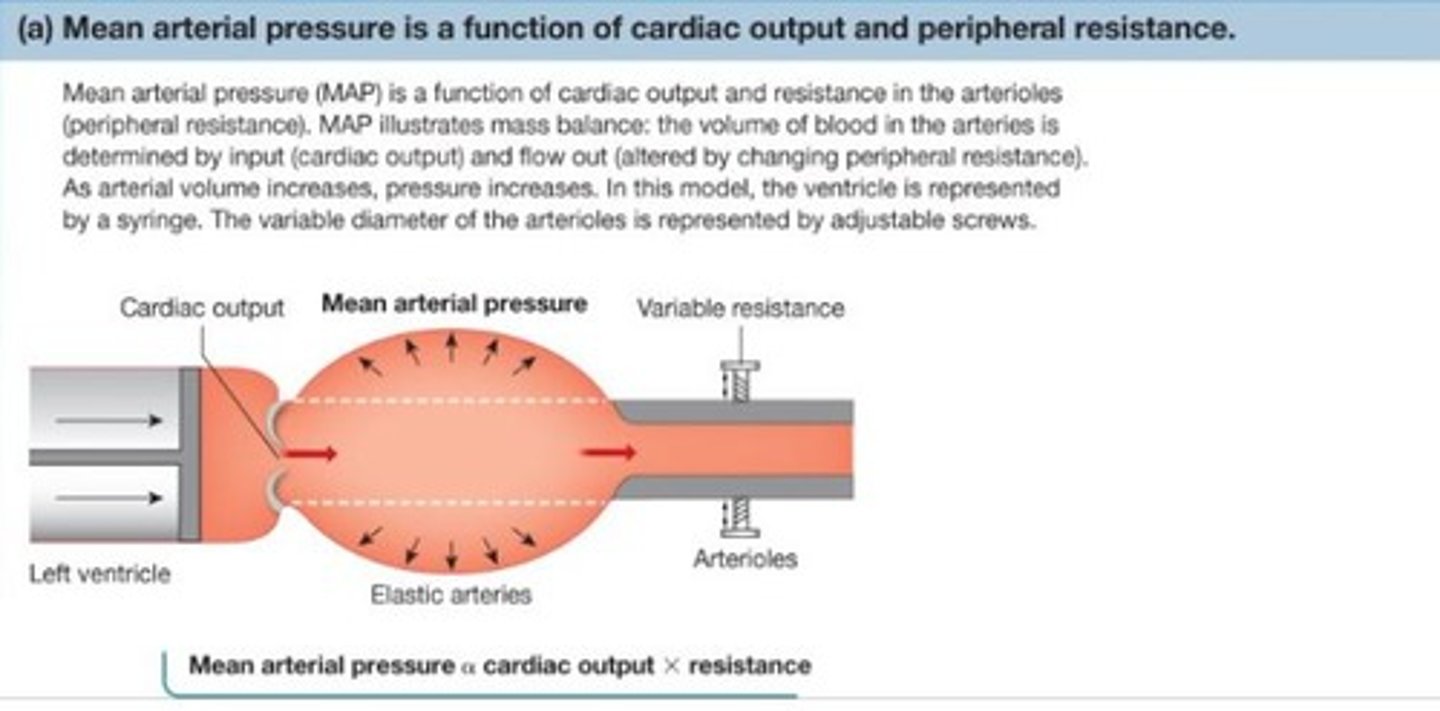 <p>Pressure gradient (∆P) and resistance (R) of the system.</p>