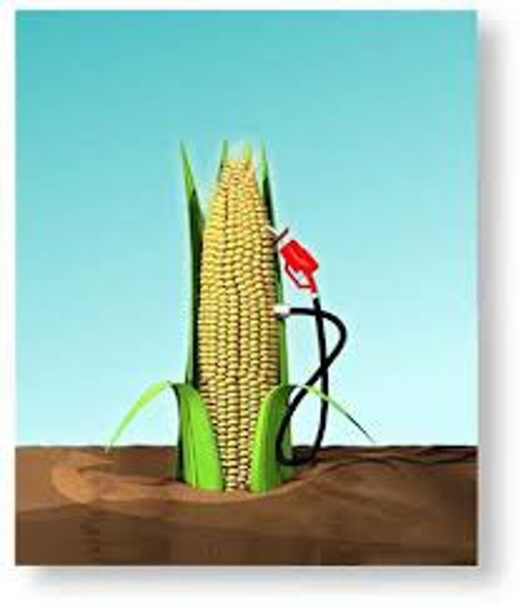 <p>A fuel derived directly from living matter.</p>