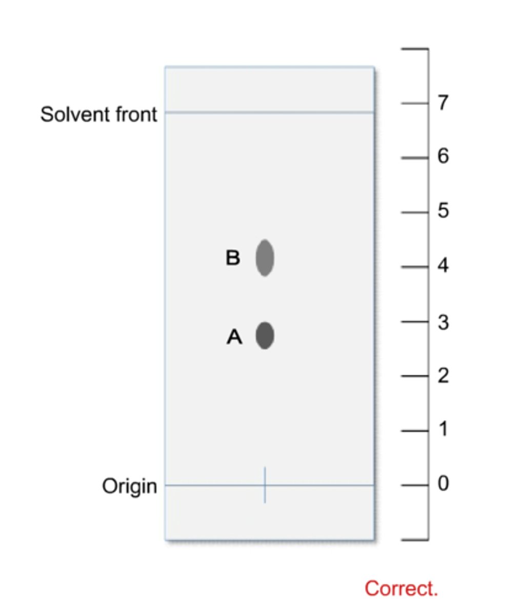 <p>the furthest point reached by the solvent</p>