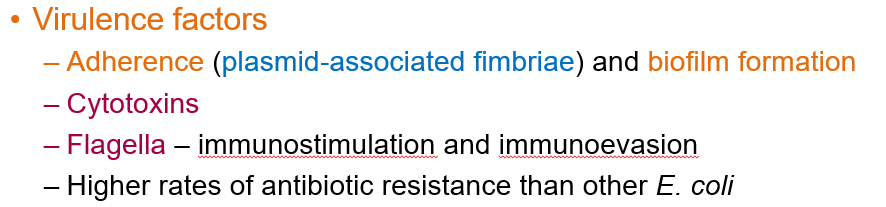 <p>EAEC produces <strong>biofilms</strong>, which allow bacteria to <strong>attach to intestinal cells</strong>, making it more resistant to clearance.</p>