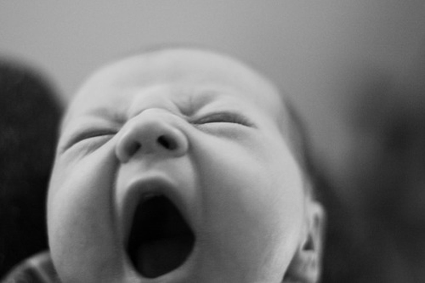 <p>to yawn</p>
