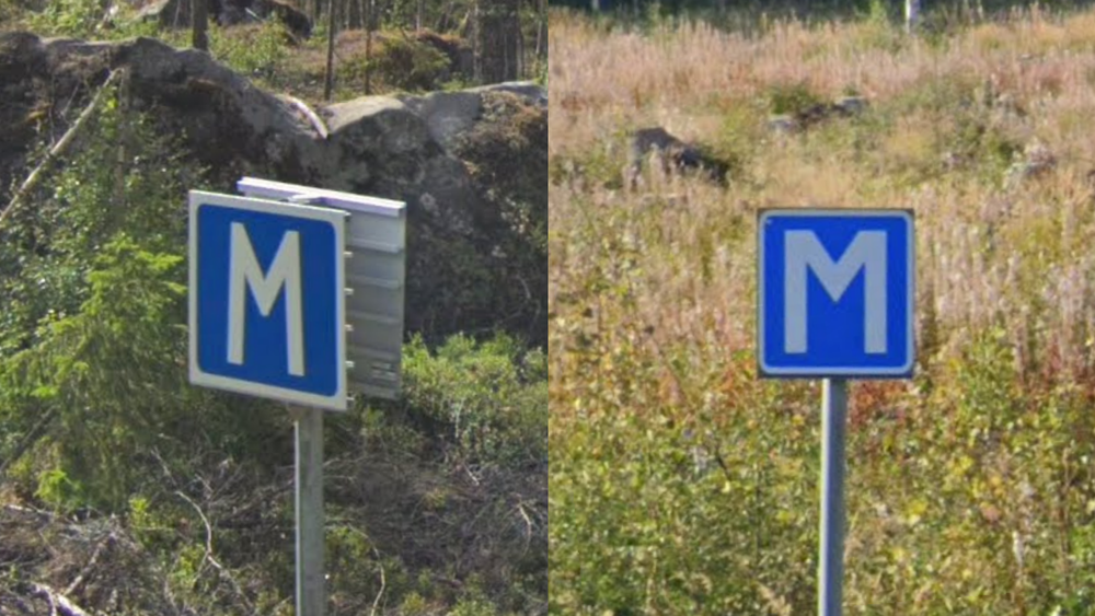 term image