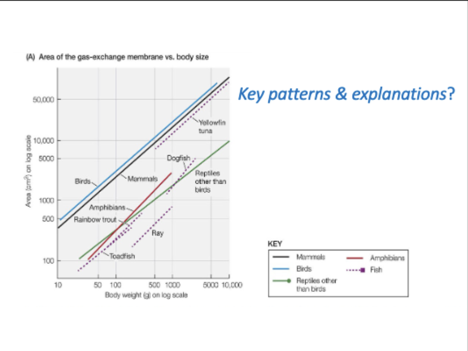 <p>what are the key patterns &amp; explanations of this graph?</p>