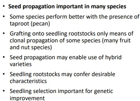 <p>__ used for some woody ornamentals and many herbaceous annuals </p><ul><li><p>__ need to be nearly true-to-type to be useful </p></li><li><p>Seedlings need to be uniform in growth rate and habit </p></li><li><p>Provenance from which seeds are collected is important </p></li><li><p>Dormancy requirements (if any) must be manageable </p></li><li><p>Must be disease free</p></li></ul><p></p>