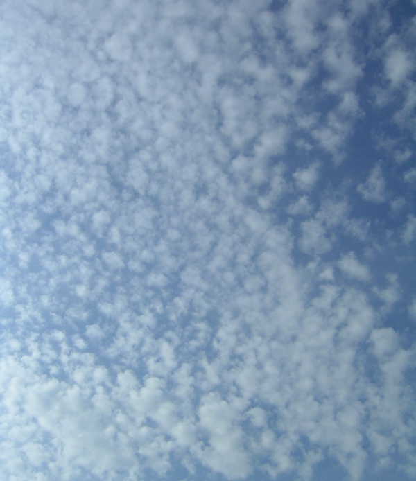 <p><span>Cirrocumulus (CC)&nbsp;</span></p>