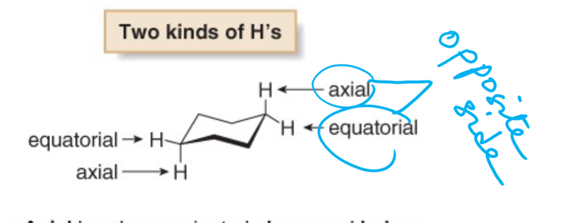 <p>axial is up down, equatorial is left right</p>