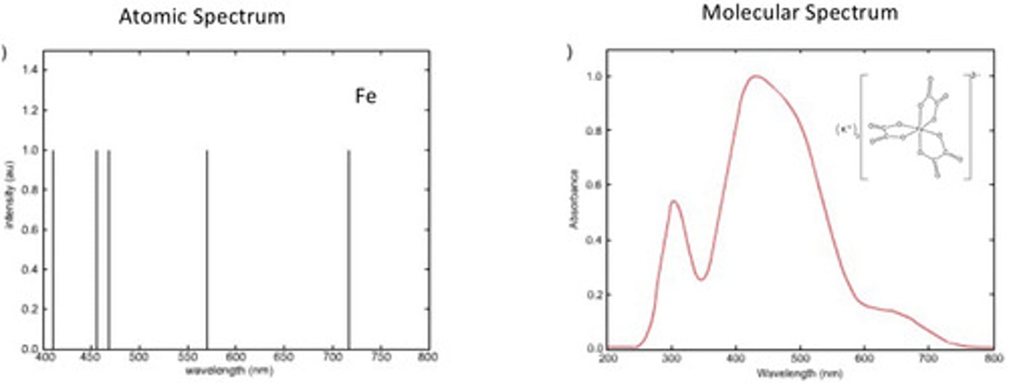 <p>Why are peaks broader for molecular spectra?</p>