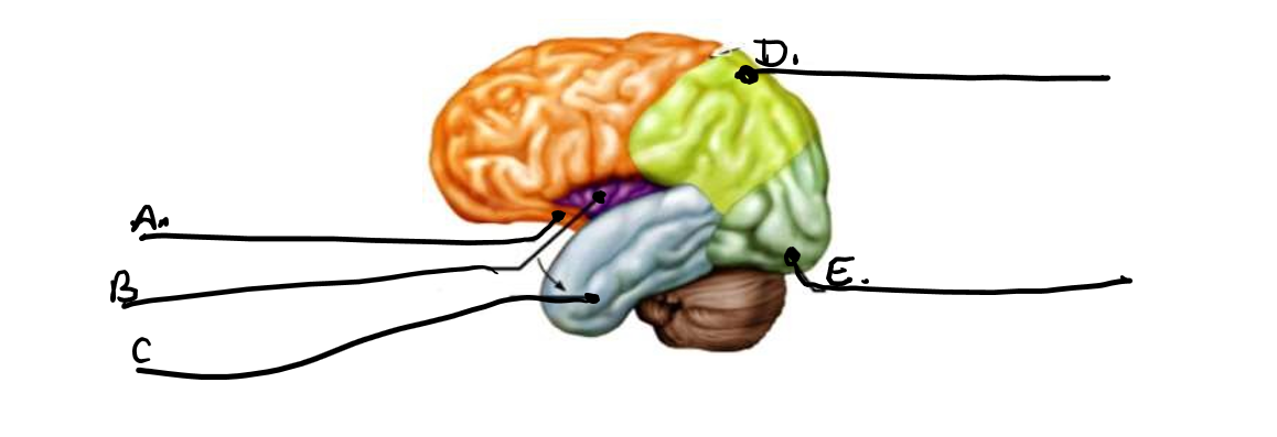 <p>what is b </p>
