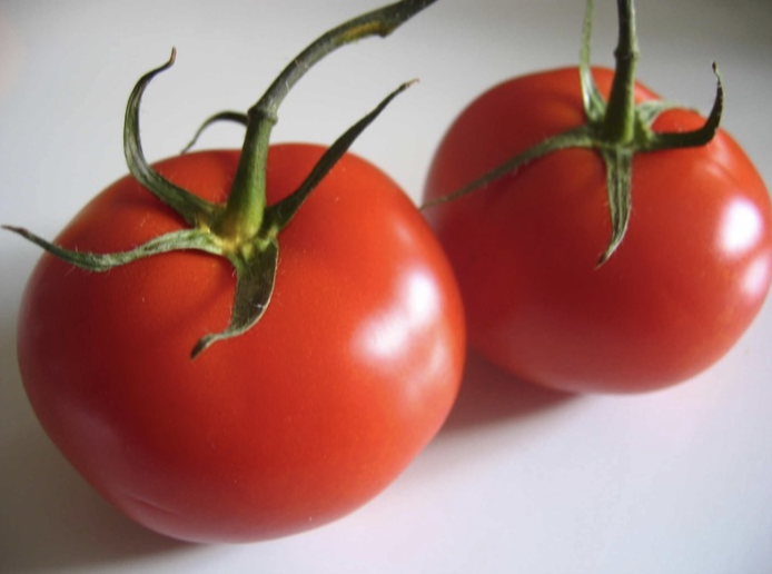 <p>tomato</p>