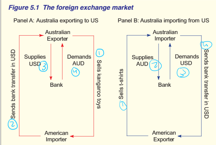 <ol><li><p>Steps to foreign exchange market- explain</p></li></ol><p></p><p></p>
