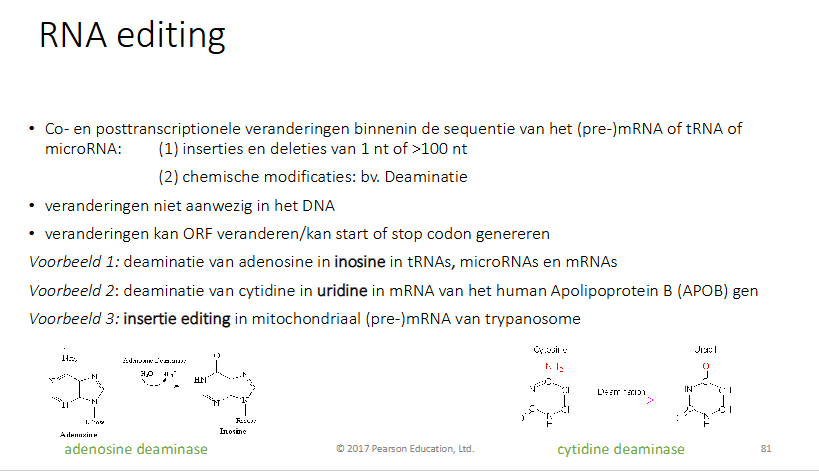 <ul><li><p>Co- en posttranslationele veranderingen binnenin de sequentie van (pre)mRNA of tRNA of microRNA</p><ul><li><p>inserties en deleties van 1nt of >100 nt</p></li><li><p>chemische modificaties bv deaminatie</p></li></ul></li><li><p>veranderingen zijn niet aanwezig in DNA (zoals bij polyAstaart)</p></li><li><p>veranderingen kan ORF (open reading frame) / kan een start of stop codon genereren</p><ul><li><p>vb1: deaminatie van adenine in inosine in tRNA, microRNA en mRNA door adenosine deaminase</p></li><li><p>vb2: deaminatie van cytidine in uridine in mRNA van human apolipoportein B → APOB gen) door cytidine deaminase</p></li><li><p>vb3: insertie editing in mitochondriaal (pre)mRNA van trypanosome</p></li></ul></li></ul><p></p>