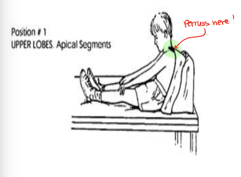<ul><li><p>Long Sitting Position</p></li><li><p>Lean Back 30 degrees</p></li></ul><p></p>