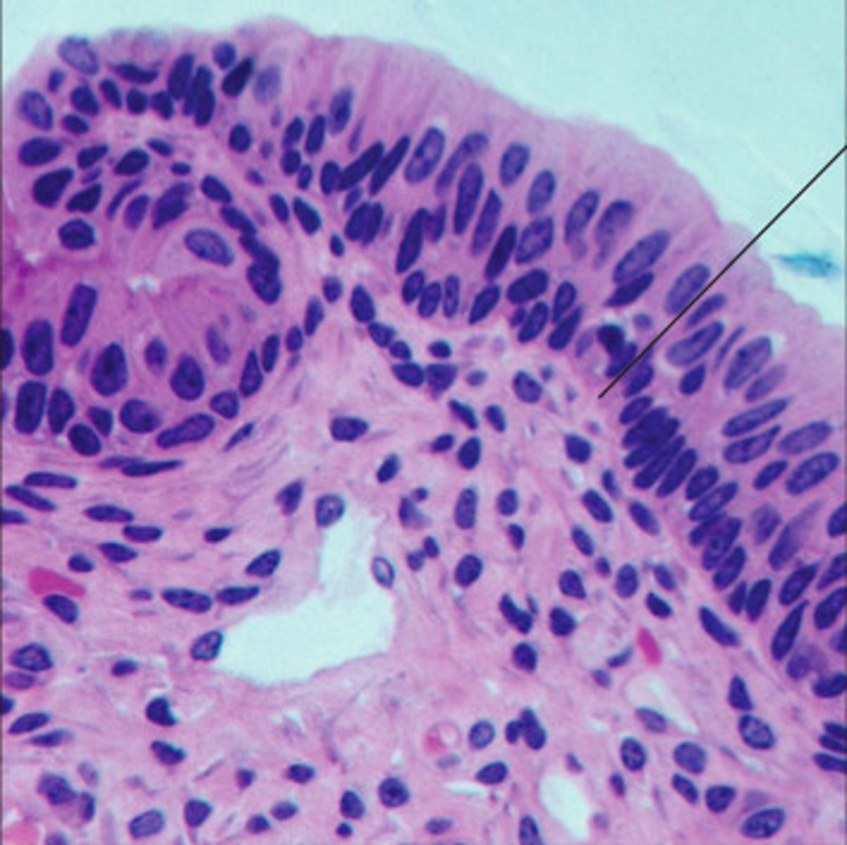 <p>Functions: 2</p><p>Locations: 2</p>