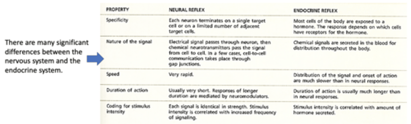 <p>note the differences:</p>