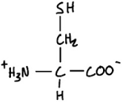 <p>3-Letter Abbreviation</p>