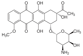 <p>daunomycine  (daunorubicine)</p>