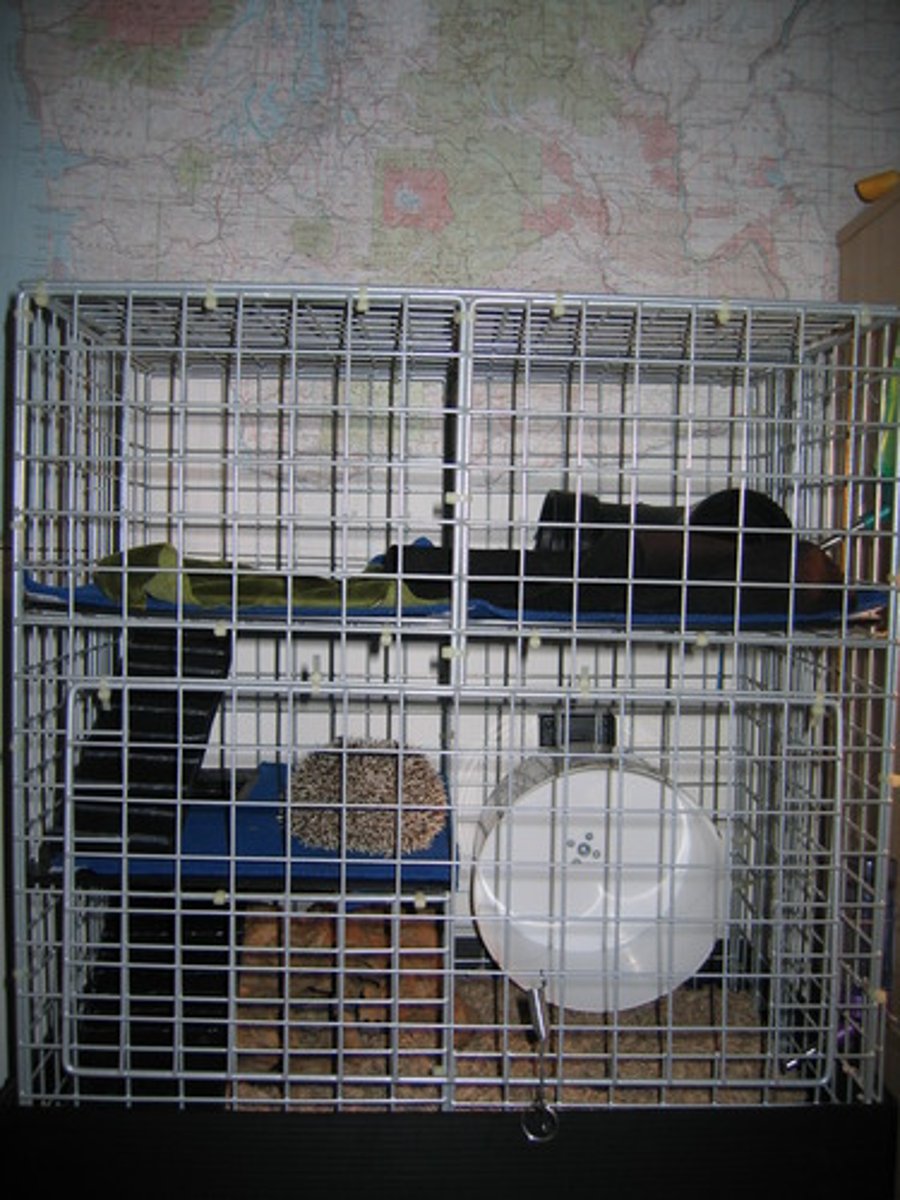 <p>cage</p>