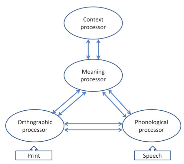 <p>Parallel Distributed Processing (PDP)</p>