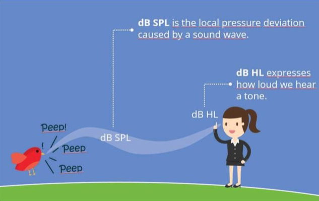 <p>Sound pressure level — the log scale when referencing the reference level of sound pressure, the local pressure deviation caused by a sound wave</p><ul><li><p>dB SPL = 20 x log (P0/Pr)</p></li></ul><p></p><p>Sound pressure: the amplitude level of sound at a specific location in space</p>