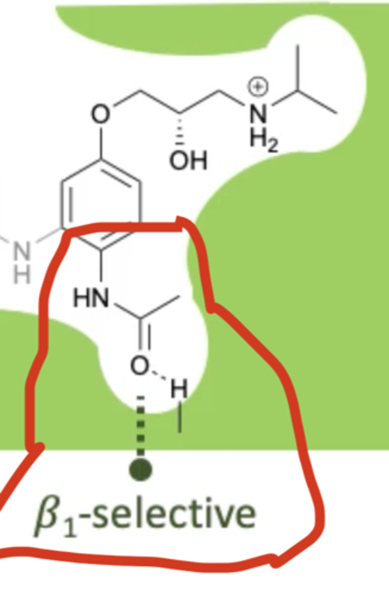 <p>A substituent at the para position of the aromatic ring that can form a hydrogen bond. </p>