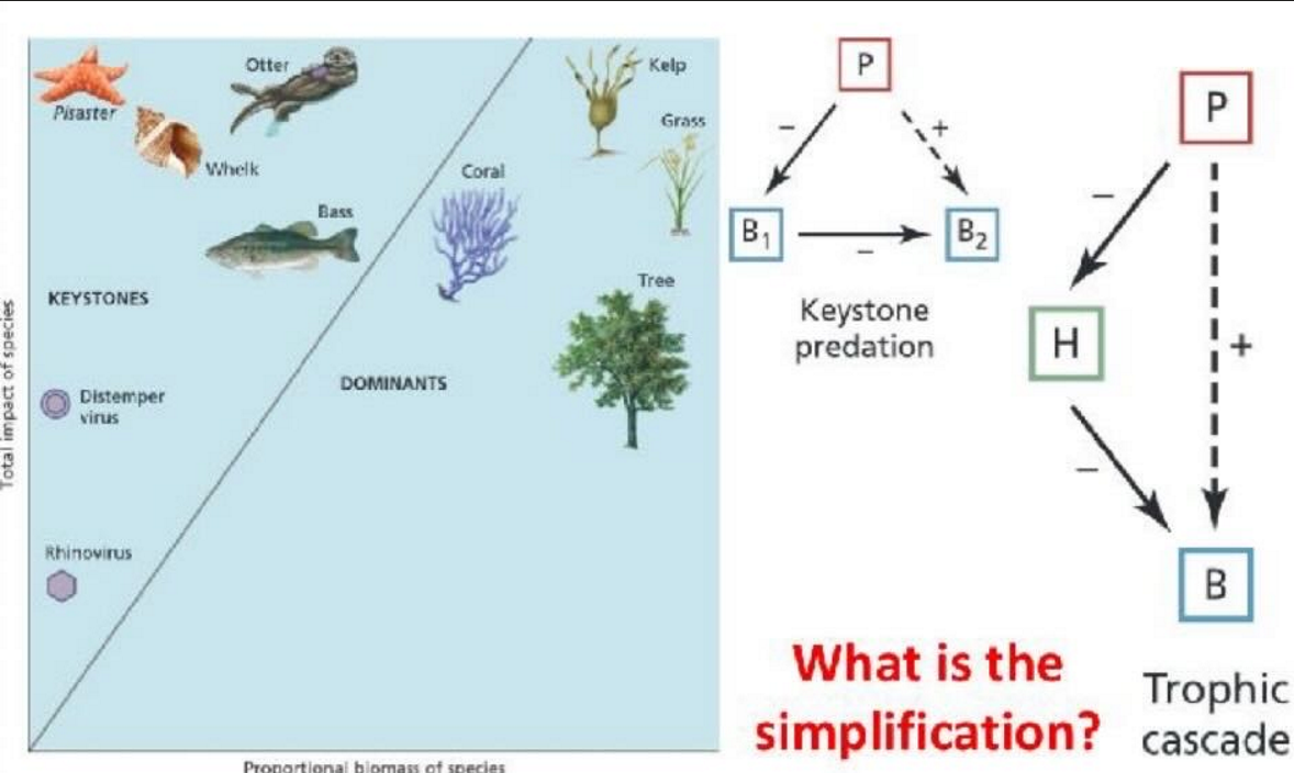 <p>Ecological Modelling</p>