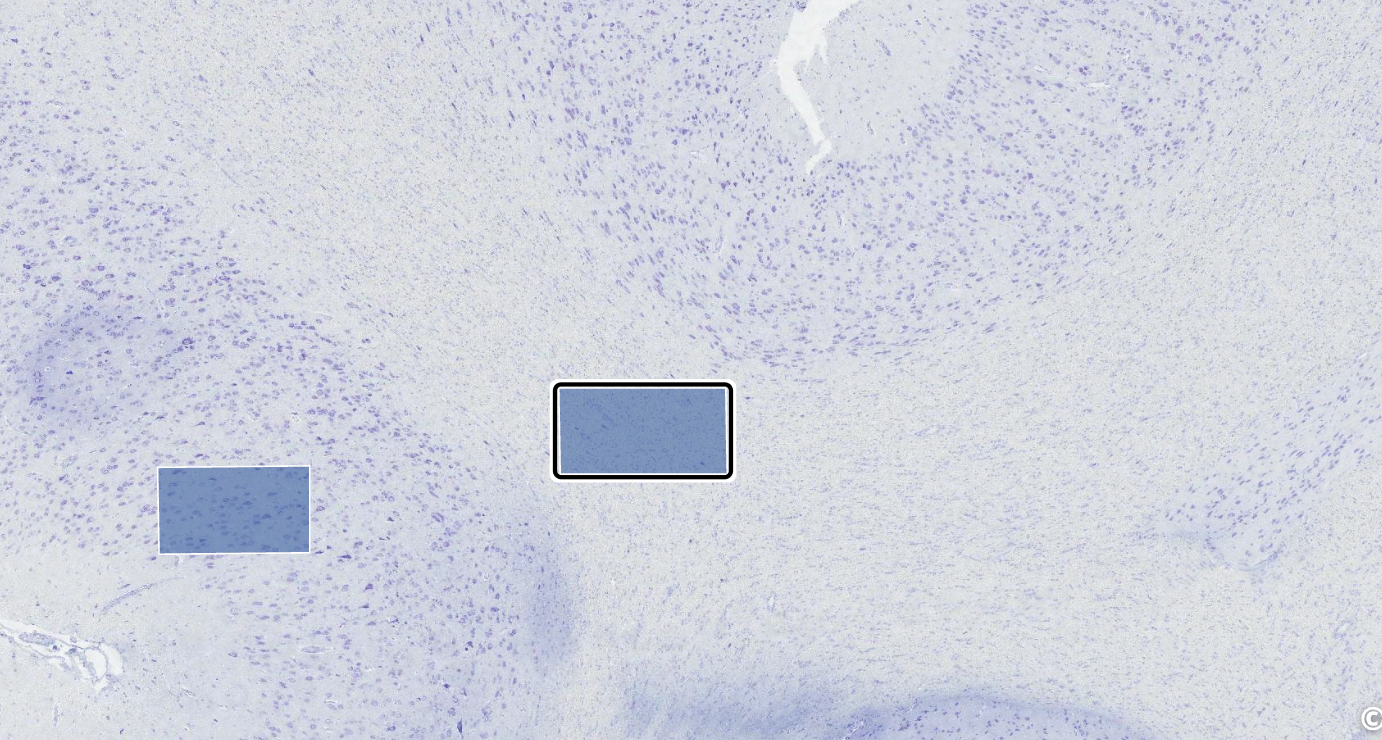 <p>whats this</p>