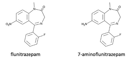 <p><span>•&nbsp;&nbsp;&nbsp;&nbsp;&nbsp;&nbsp; </span>Primary metabolite is 7-aminoflunitrazepam.</p><p><span>The short half-life of flunitrazepam is important in forensic cases because it is rapidly metabolised to 7-aminoflunitrazepam. This means that if you look for the parent drug only, you would be unlikely to find it if some time has passed between the victim ingesting the drug and a sample being taken.</span></p><p><span>•&nbsp;&nbsp;&nbsp;&nbsp;&nbsp;&nbsp; </span>Flunitrazepam rapidly converted to 7-aminoflunitrazepam (7-AF).</p><p><span>•&nbsp;&nbsp;&nbsp;&nbsp;&nbsp;&nbsp; </span>7-AF detected in urine up to 72 hours after ingestion, flunitrazepam undetected.</p><p><span>•&nbsp;&nbsp;&nbsp;&nbsp;&nbsp;&nbsp; </span>Require fast, sensitive method of detecting flunitrazepam and 7-AF.</p><p><span>•&nbsp;&nbsp;&nbsp;&nbsp;&nbsp;&nbsp; </span>LC–MS requires no derivatisation step – used to confirm identity of sample components.</p>