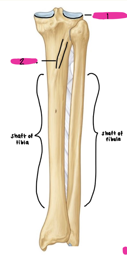 <p>1</p>