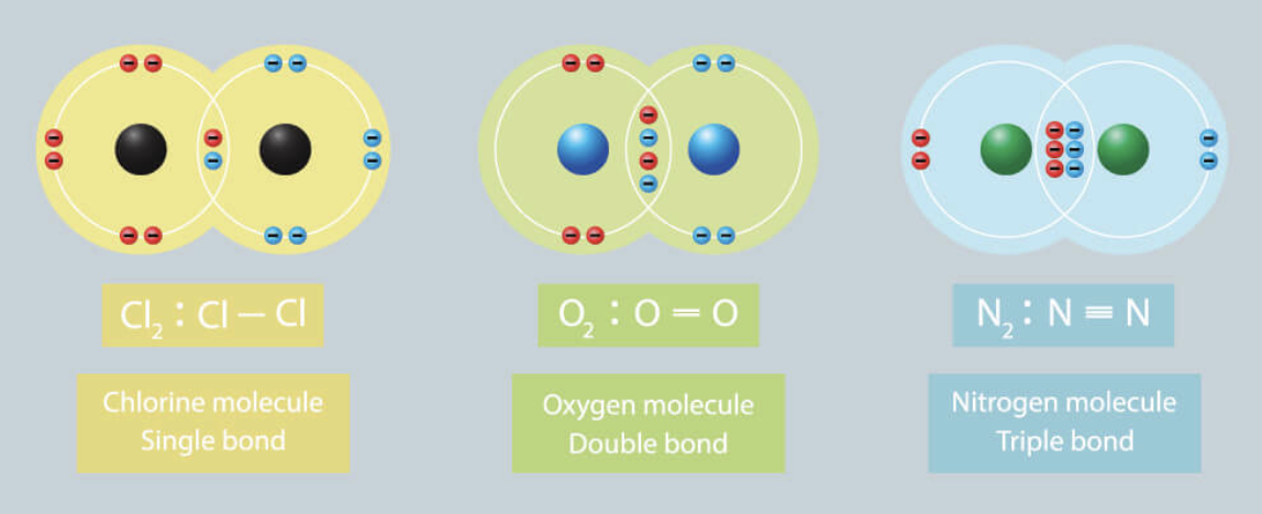- OCTET RULE applies for C, N, O and F
- Multiple Bonds, or more than one shared pair of electrons, can form
Ex. Single, Double or Triple Covalent Bonds
- Bond Order (B.O.) indicates # of shared electron pairs between atoms