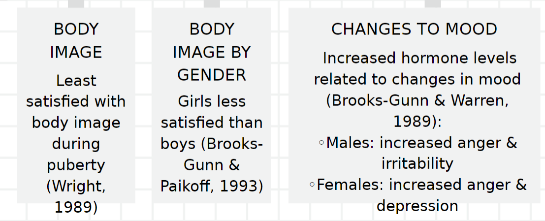 <ul><li><p>body image</p></li><li><p>body image by gender</p></li><li><p>changes to mood </p></li></ul>