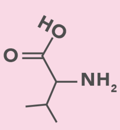 <p>Alpihatic (Nonpolar)</p>