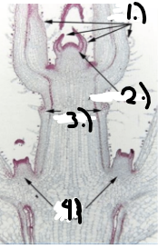 <p>What is no 3</p>