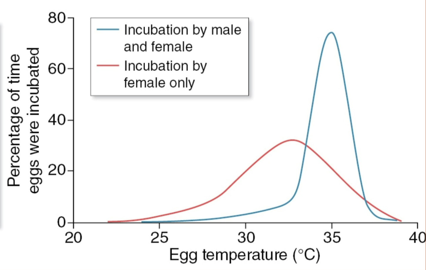 <p>Females prevent rival females from gaining access to their mate (Why are some males monogamous?).</p>