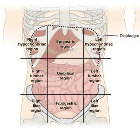 knowt flashcard image