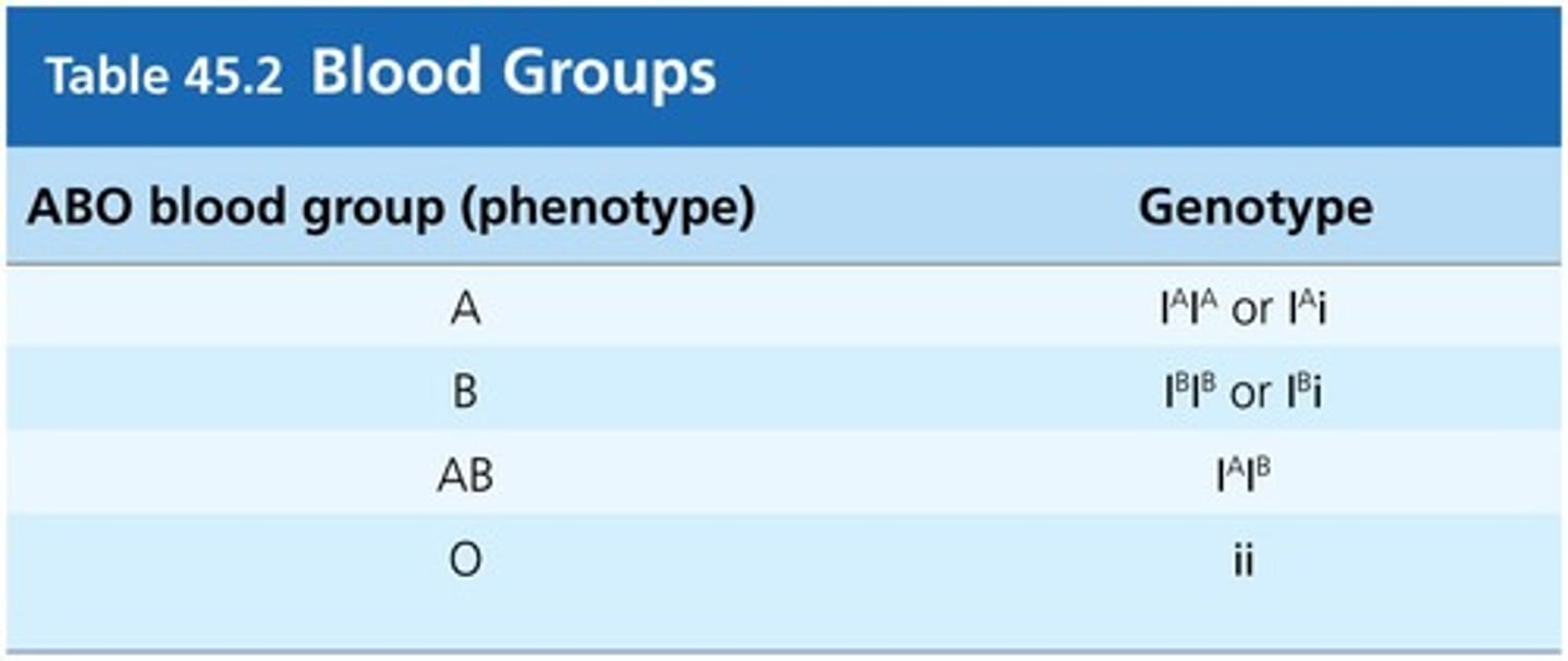 <p>A case of codominance; Mom - ii (genotype) O (phenotype), Dad - IAi.</p>