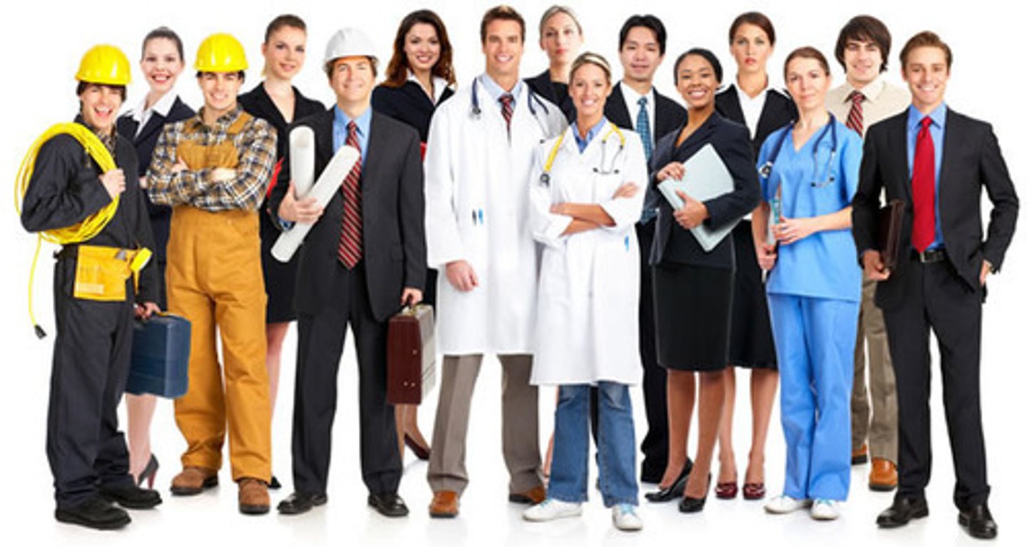 <p>vocation, job / professional training</p>