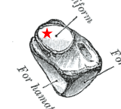 cuneiform, 3 articul