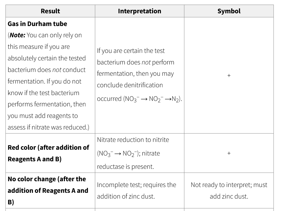 <p>nitrate reduction test results and interpretations</p>