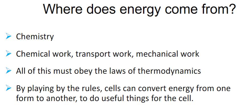 <p>Where does energy come from?</p>