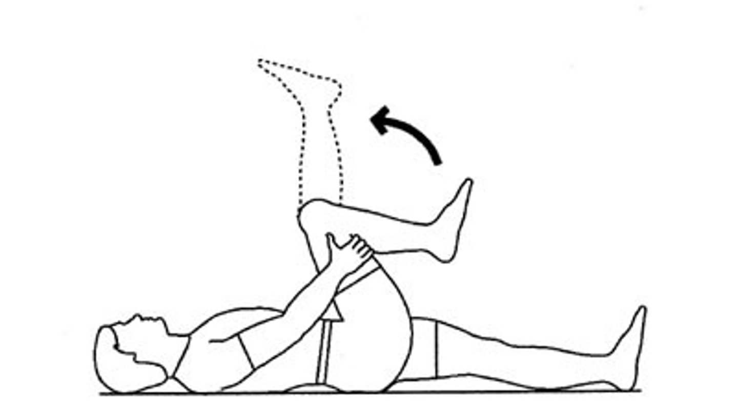 <p>butt kickers, high knees, quad stretch, hamstring stretch</p>