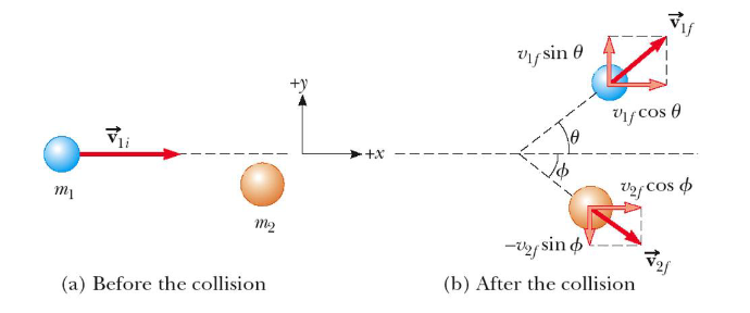 <ul><li><p>the “after” velocities have x & y components</p></li><li><p>momentum is conserved in the x direction & y direction</p><ul><li><p>apply conservation of momentum separately to each direction</p></li><li><p>the objects move at an angle to each other, resulting in different post-collision directions </p></li></ul></li></ul><p></p>