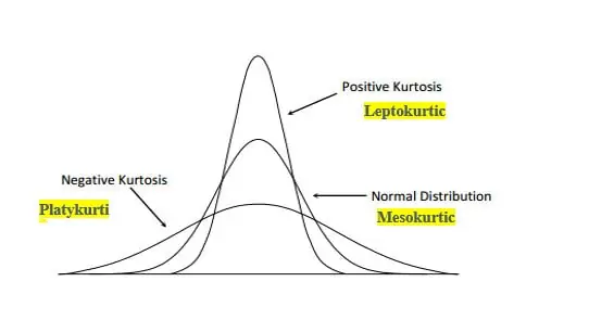 <p>Kurtosis describes tail heaviness (i.e. the presence of outliers and how pronounced they are relative to a normal distribution).</p>